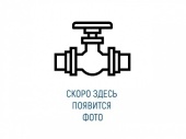 Впускной клапан для TH100/8D (З 308650) на ps24.ru